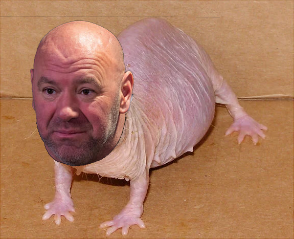 is dana white the mole_0.png